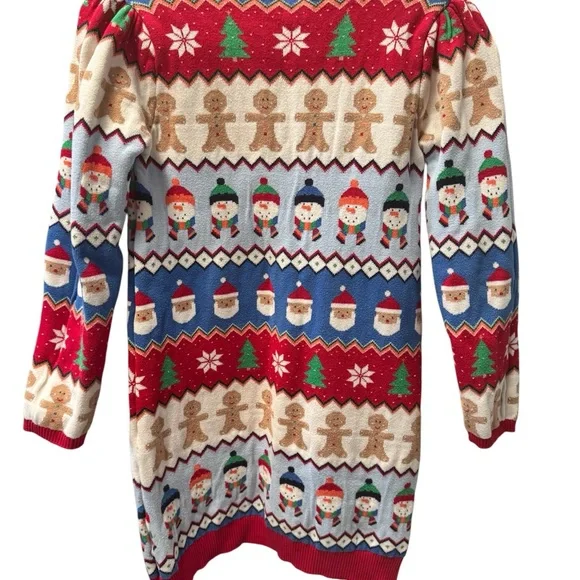 Girls Sweater Dress Assortment Lot, Gymboree Dress Bundle size Large (12) - Picture 13 of 15